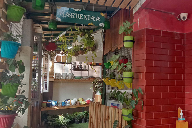 Gardeniaa: Your Green Lifestyle Store
