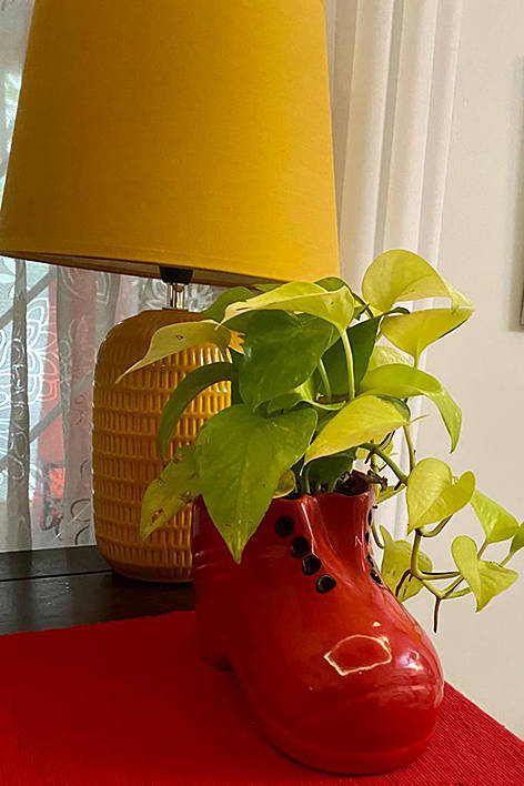 Gardeniaa: Your Green Lifestyle Store