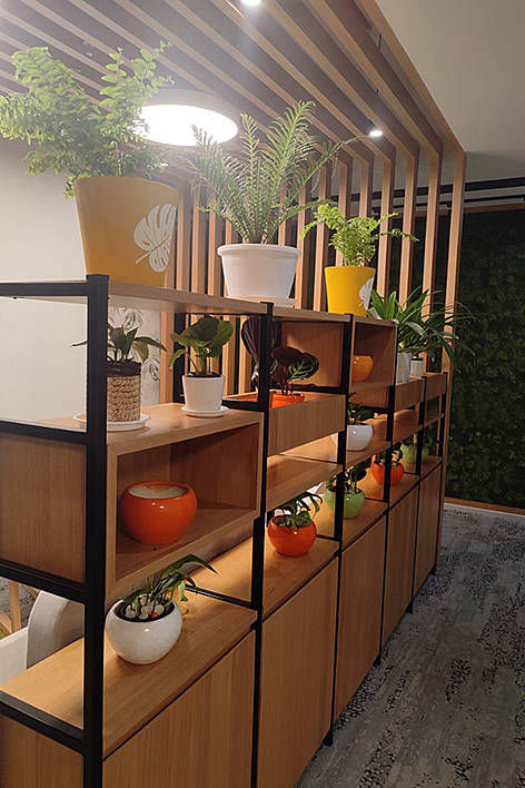 Gardeniaa: Your Green Lifestyle Store