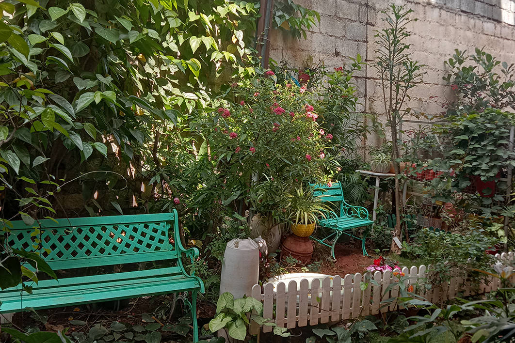 Gardeniaa: Your Green Lifestyle Store