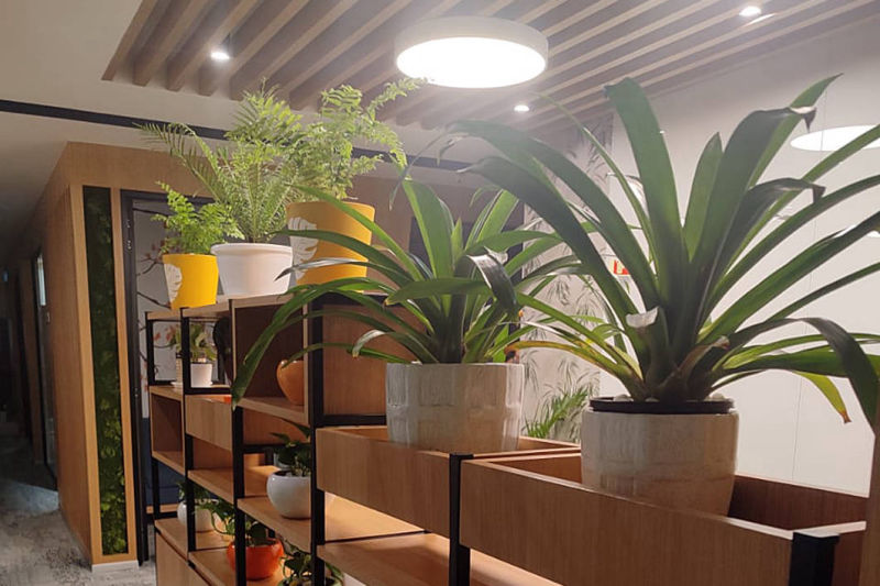 Gardeniaa: Your Green Lifestyle Store