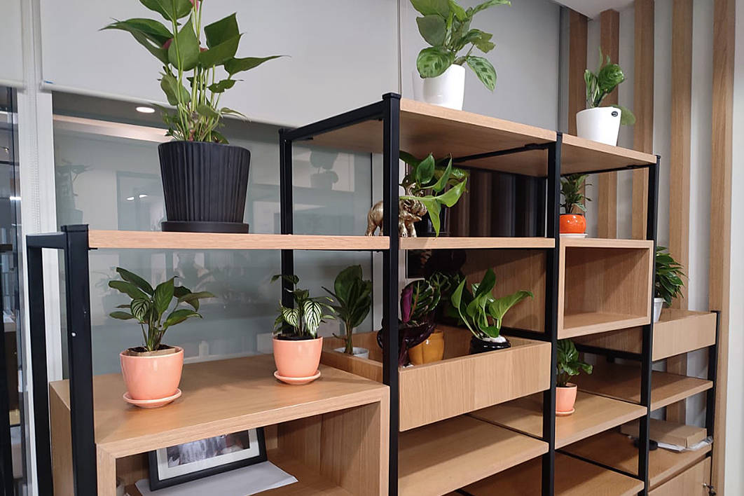 Gardeniaa: Your Green Lifestyle Store