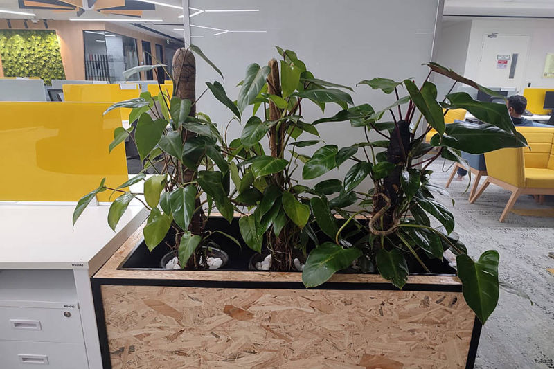 Gardeniaa: Your Green Lifestyle Store