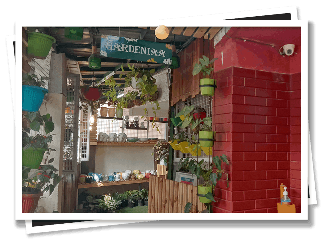 Gardeniaa: Your Green Lifestyle Store