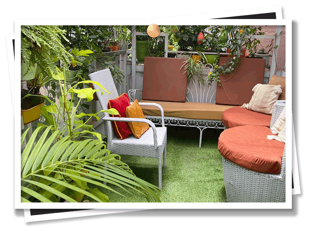 Gardeniaa: The Green Lifestyle Gallery