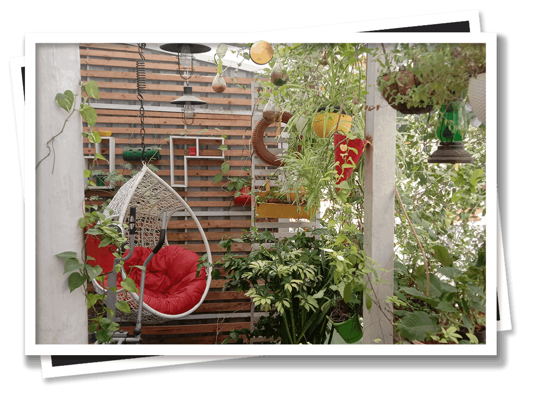 Gardeniaa: Terrace & Balcony Gardens