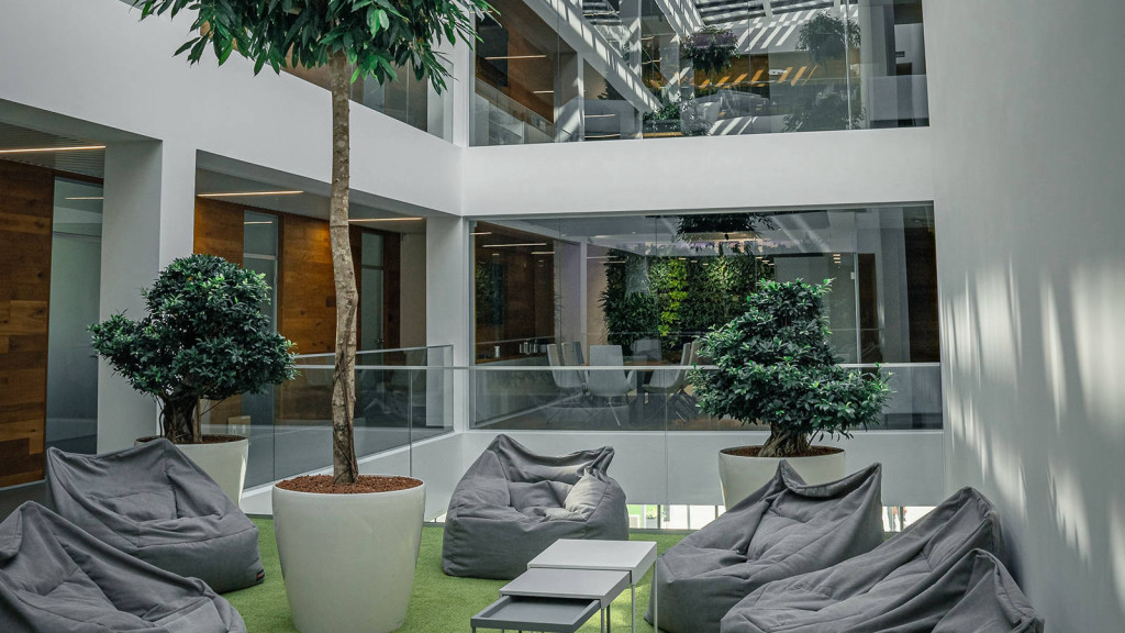 Workplace Green Decor: